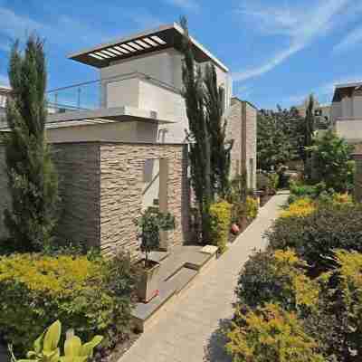 E-Hotel Larnaca Resort & Spa Hotel Exterior