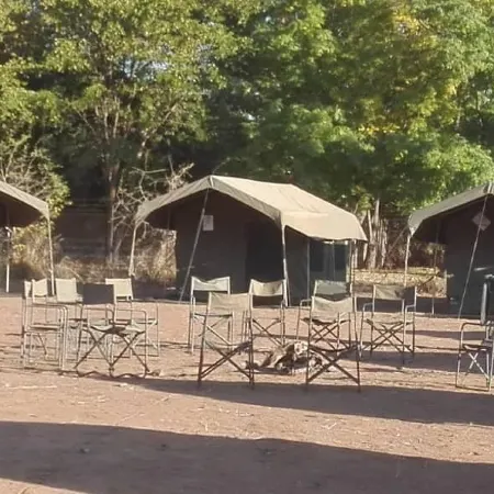 Bush Baby Calls Mobile Camps