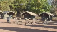 Bush Baby Calls Mobile Camps
