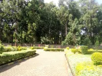Forest Breeze Gardens - Bed and Breakfasts