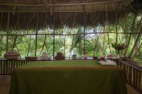 棉花樹旅館 - SPA