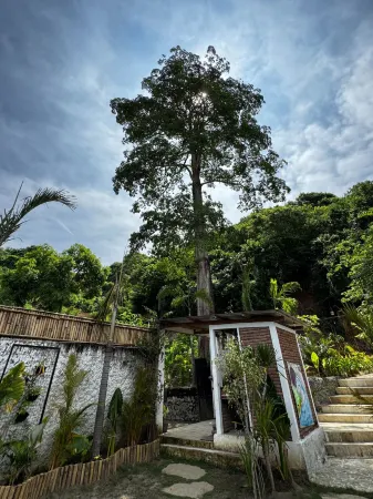 Palmhouse Boutique Hotel Отели рядом с достопримечательностью «Mawun Beach»