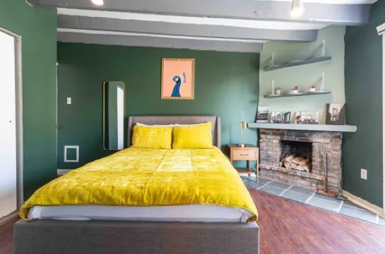 1918年具有特色的市中心複式公寓