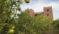 Kasbah Atfel Hotels in Ourika