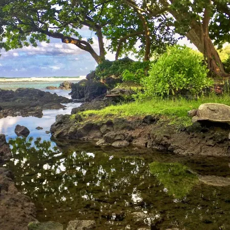 Epic Oceanfront Penthouse with Best Views in Hilo!