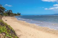 Sunny and Soothing Oceanfront Vistas - Ocean View