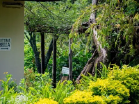 Inn on the Vumba Hotel Hotels in Mutare