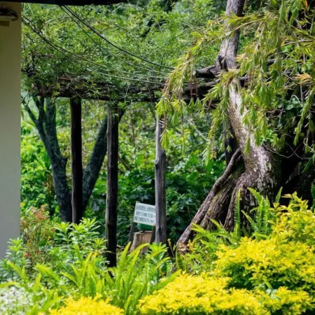 Inn on the Vumba Hotel