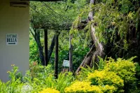 Inn on the Vumba Hotel Hotels in Mutare