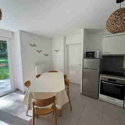 Shell and pre-salt house Others