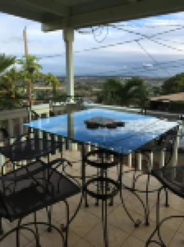 Panoramic Diamond Head Ocean View Spacious Home
