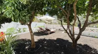 Garden of Luck Hotel in zona Bodega Los Berrazales / Finca la Laja