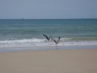 1 bedroom apartment in the Algarve overlooking the ria and the sea with garden and pool Hotels in Moncarapacho