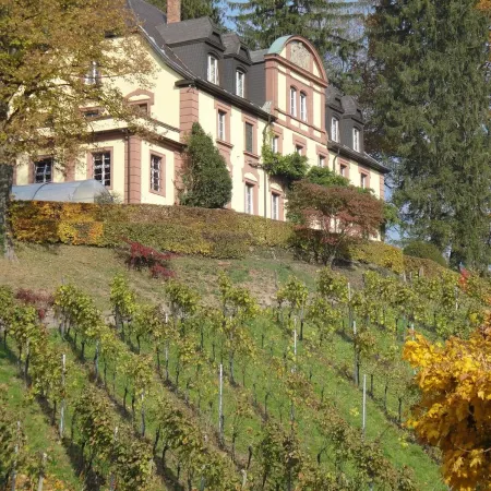 Neveu Winery Josephsberg 2