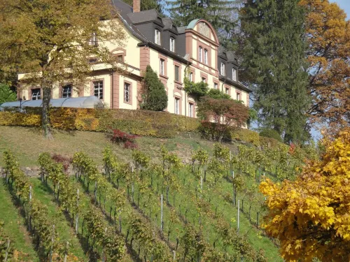 Neveu Winery Josephsberg 2 Hotels in Durbach