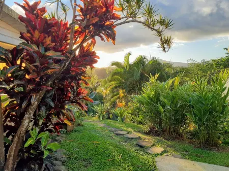 CITRONELLA APARTMENT