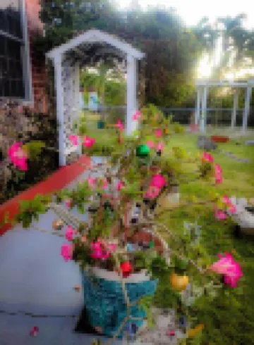 Slice of Paradise- 2 mins from Spotts Beach!