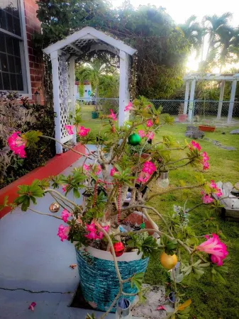 Slice of Paradise- 2 mins from Spotts Beach! Отели в г. Патрикс Айленд