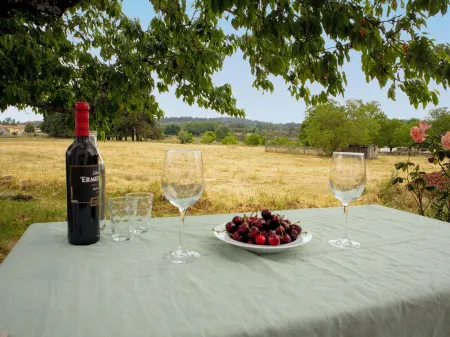 Starbase18 Bed&Breakfast Отели в г. Кавадоде