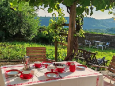 Old farmhouse in the heart of the 'Slovenian Tuscany' Hotels in Koper