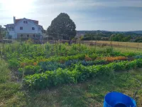 Starbase18 Bed&Breakfast Hotels in Belmonte