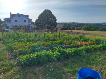 Starbase18 Bed&Breakfast Отели в г. Кавадоде