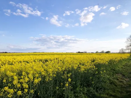 Dream vacation apartment with fenced garden, wonderful view and lots of space