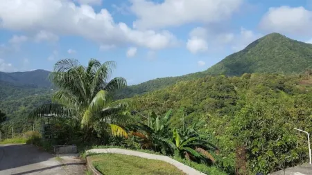 Mountain View Moore Park