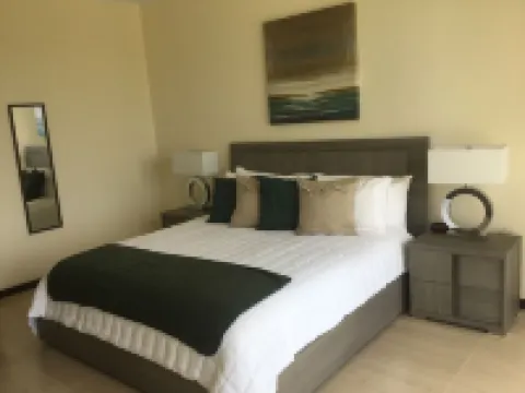 ROYAL PENTHOUSE-New stunning two storey penthouse condo with roof top terrace