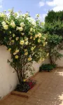 Lovingly furnished 70 m2 apartment for 2-4 people in Oestrich-Winkel
