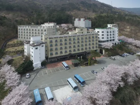 Geoje Oasis Hotel Отели рядом с достопримечательностью «Historic Park of Geoje POW Cam»