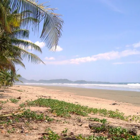 Manala Hotel