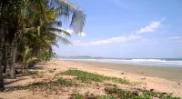 Manala Hotel - Beach