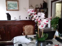 جلوري جيست سويتس، داونتاون مونكتون فنادق في مونكتون