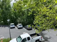 The Cypress Inn Bed & Breakfast - parking