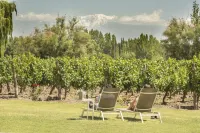 Postales Boutique Winery Hotel - Valle de Uco Hotel a Vista Flores