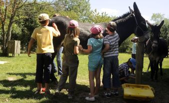 Le Village de Cottages - le Pôle du Cheval et de l'Âne
