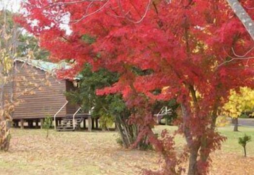 5. 매디슨즈 마운틴..