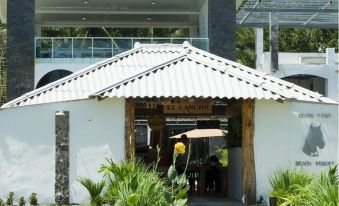 Show Pony Beach Resort