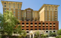 Drury Inn & Suites San Antonio Near la Cantera - Kæledyr tilladt