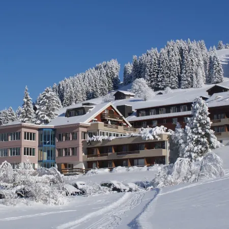Ferien- Und Familienhotel Alpina Adelboden
