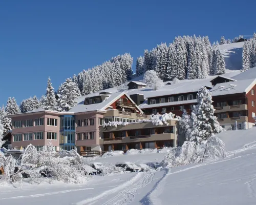 Ferien- Und Familienhotel Alpina Adelboden Hotels in Adelboden