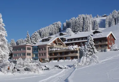 Ferien- Und Familienhotel Alpina Adelboden Hotels near Bergbahnen Engstligenalp AG