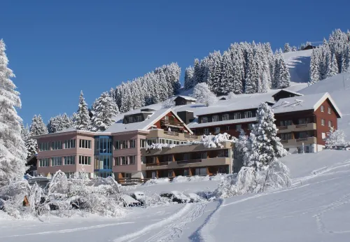 Ferien- Und Familienhotel Alpina Adelboden