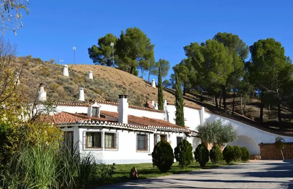 託巴斯叔叔之窩