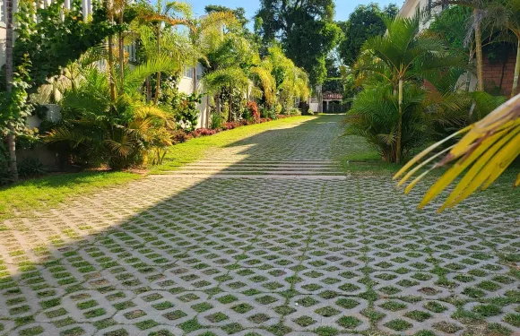 綠洲夢想假期 - 小法國