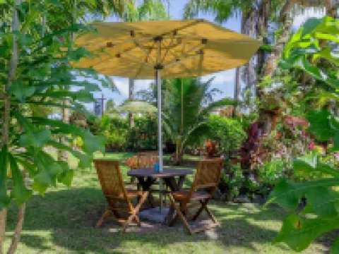 Rarotonga Daydreamer Escape Hotels in Arorangi