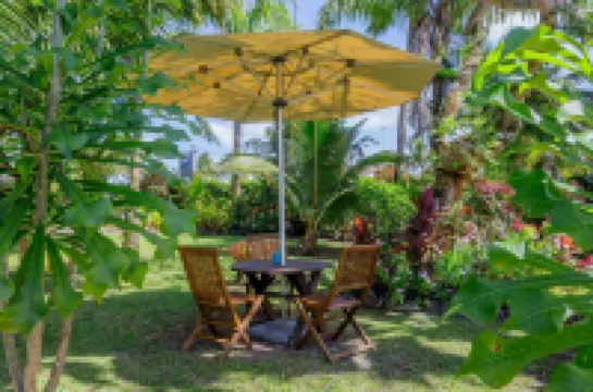 Rarotonga Daydreamer Escape Hotels in 