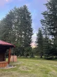 Restored log cabin in Ashford near Mt.Rainier 마운트 레니에 국립공원 주변 호텔