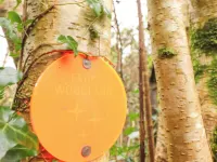 Broc Các khách sạn ở Kinvarra
